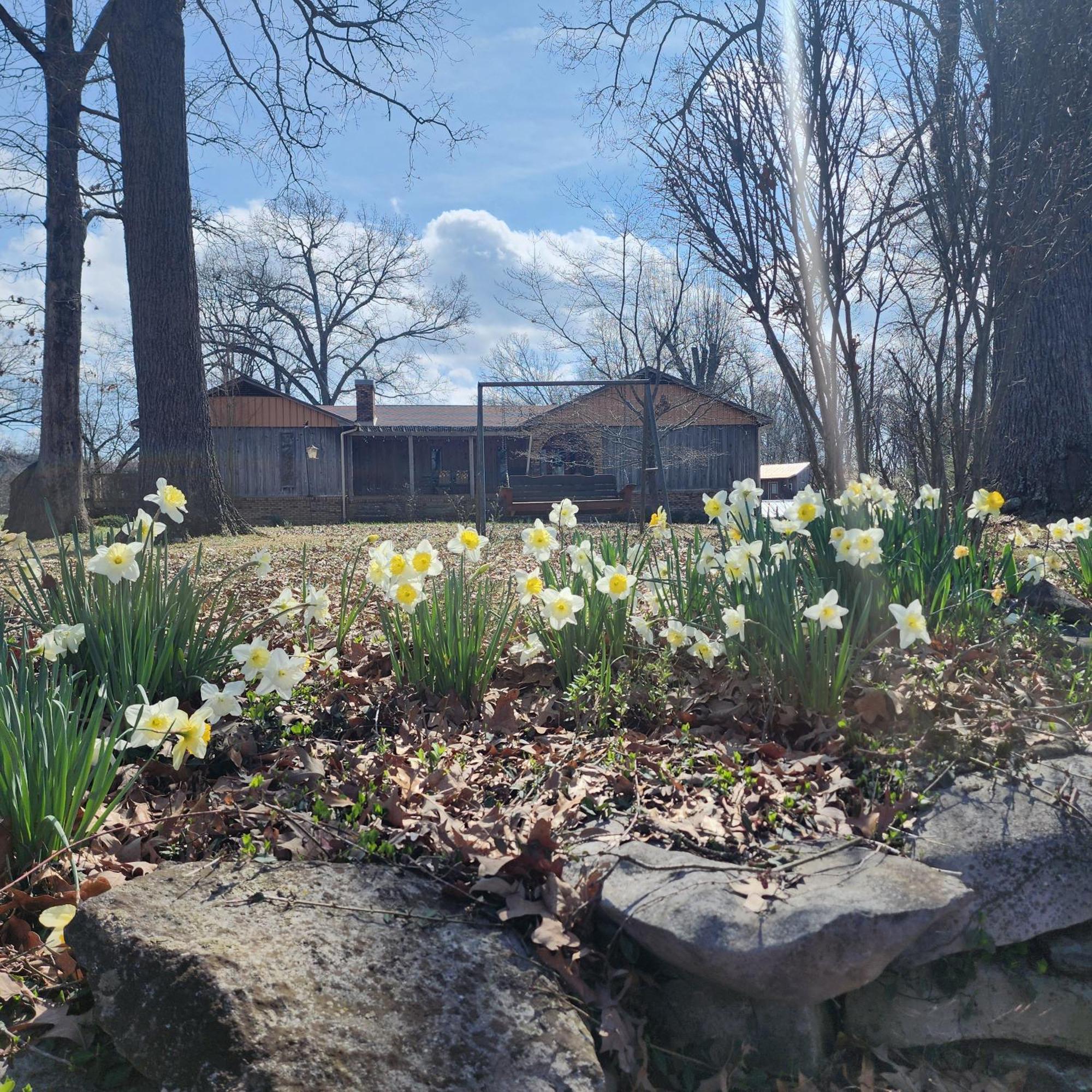 Sisters On Sycamore B&B Russellville 외부 사진