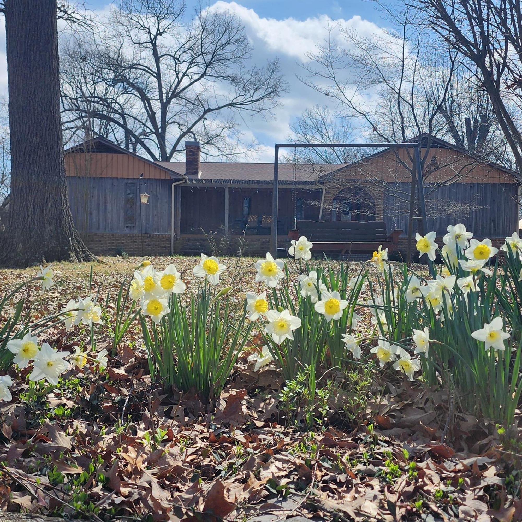 Sisters On Sycamore B&B Russellville 외부 사진