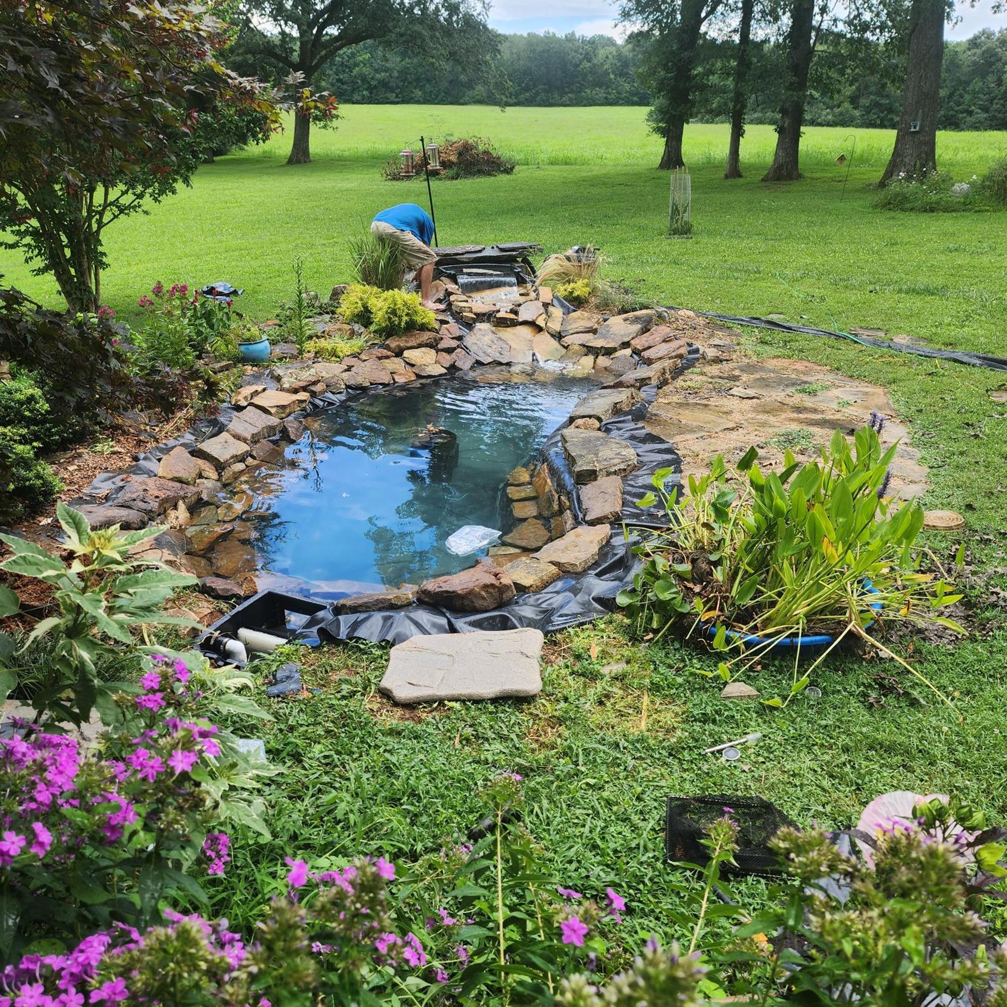 Sisters On Sycamore B&B Russellville 외부 사진